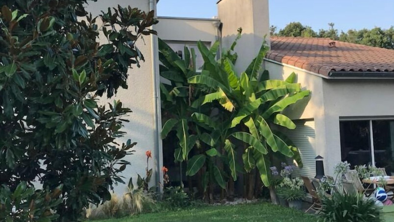 Photo of Outdoor in Colomiers