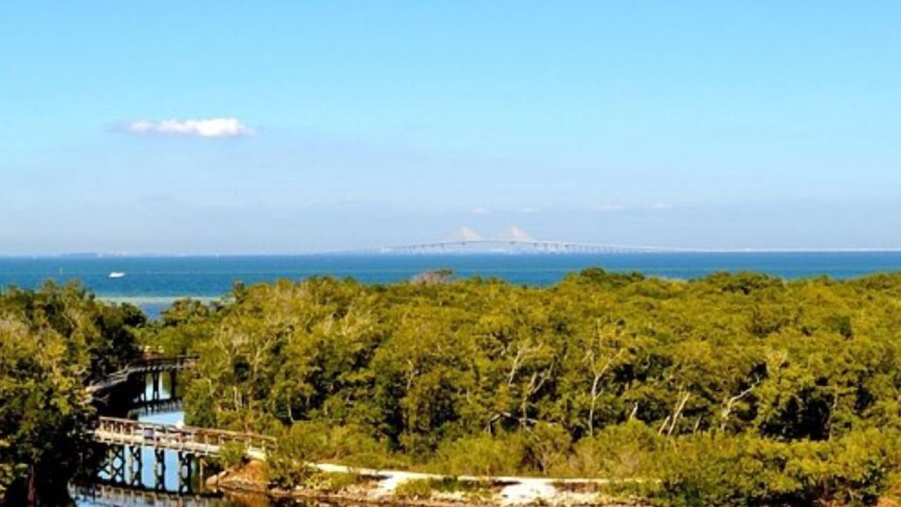 Photo of Outdoor in Bayshore Gardens