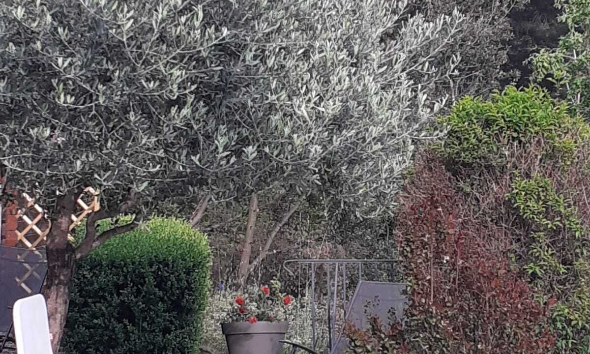 Photo of Outdoor in Ribes