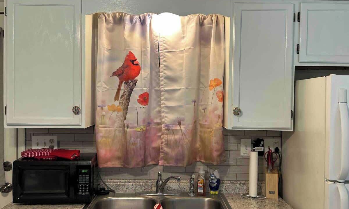 Photo of Kitchen in St. James