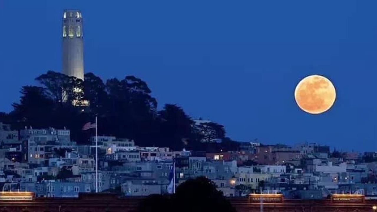 Photo of Others in Dimond