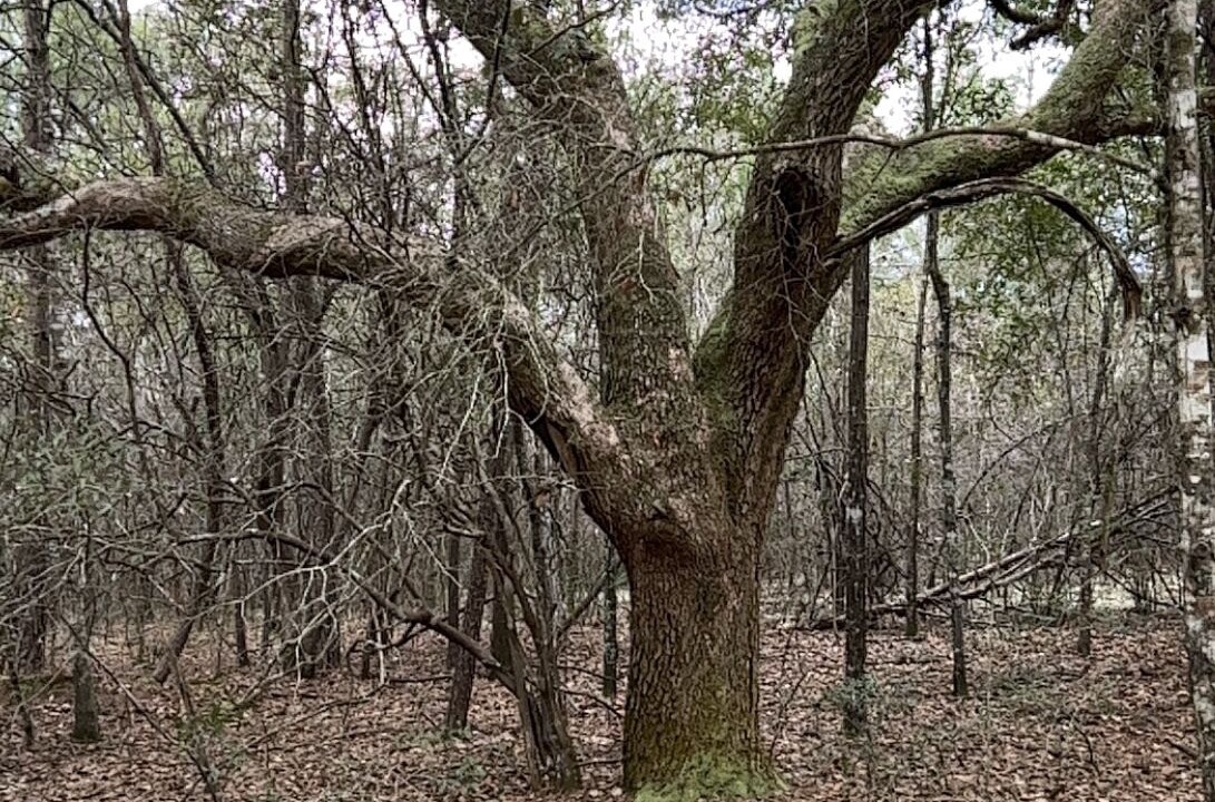 Photo of Others in Washington County