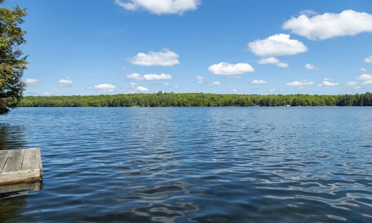 Photo of Outdoor in Seguin