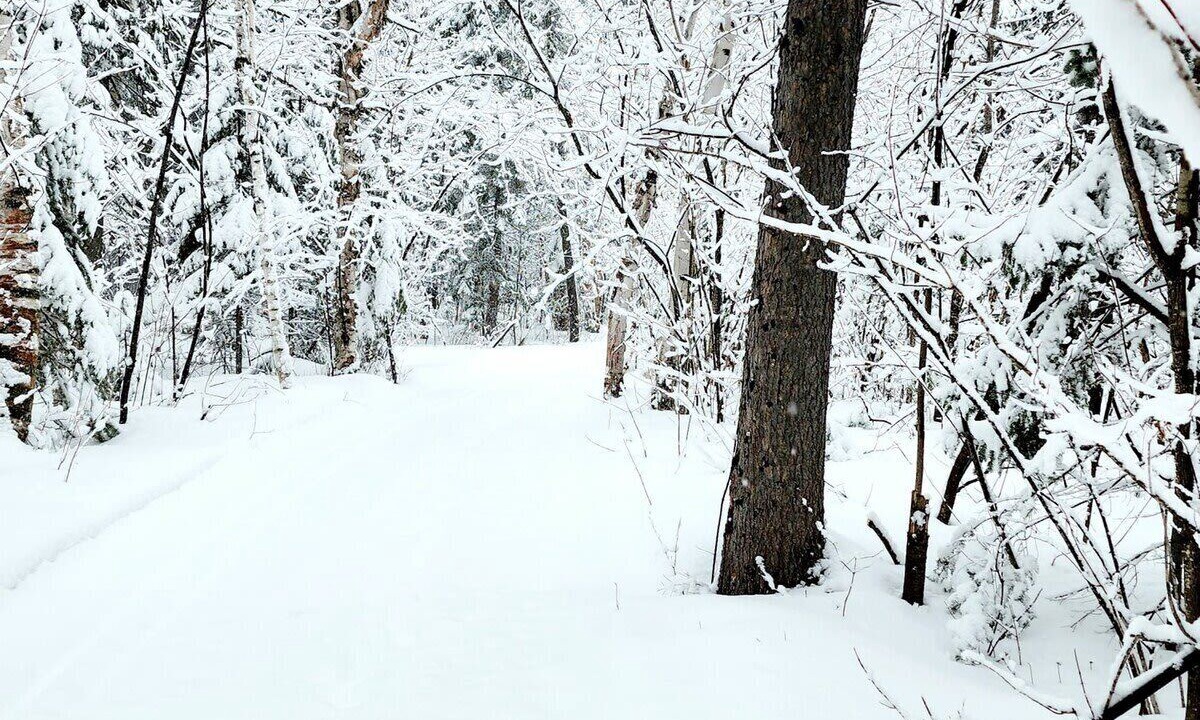 Photo of Others in St. Felicien