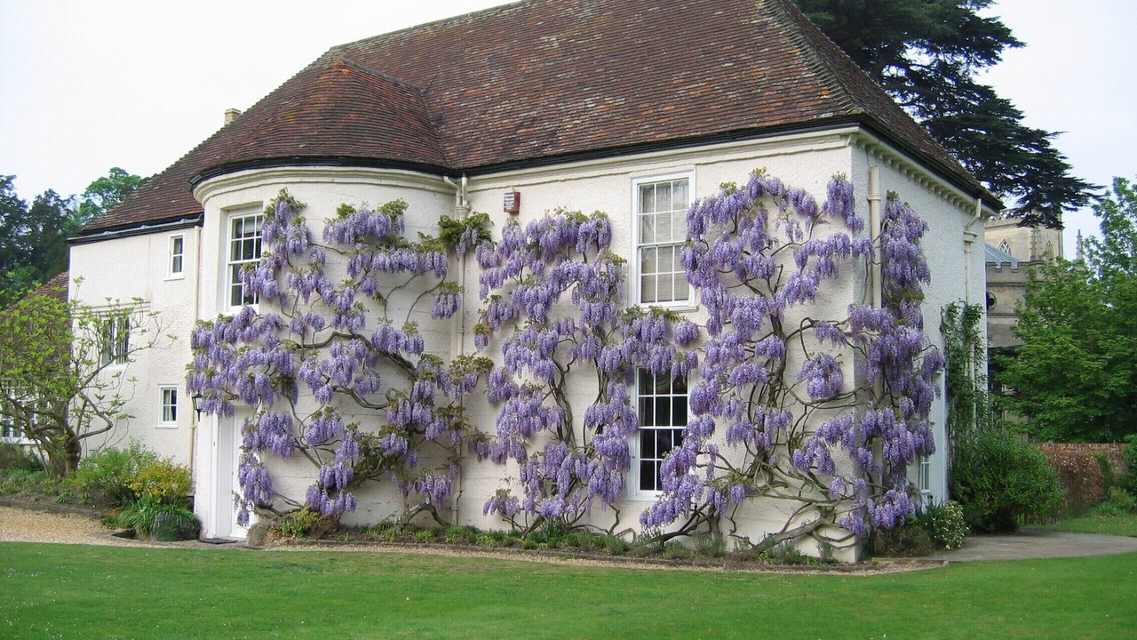 Photo of Others in Hartwell