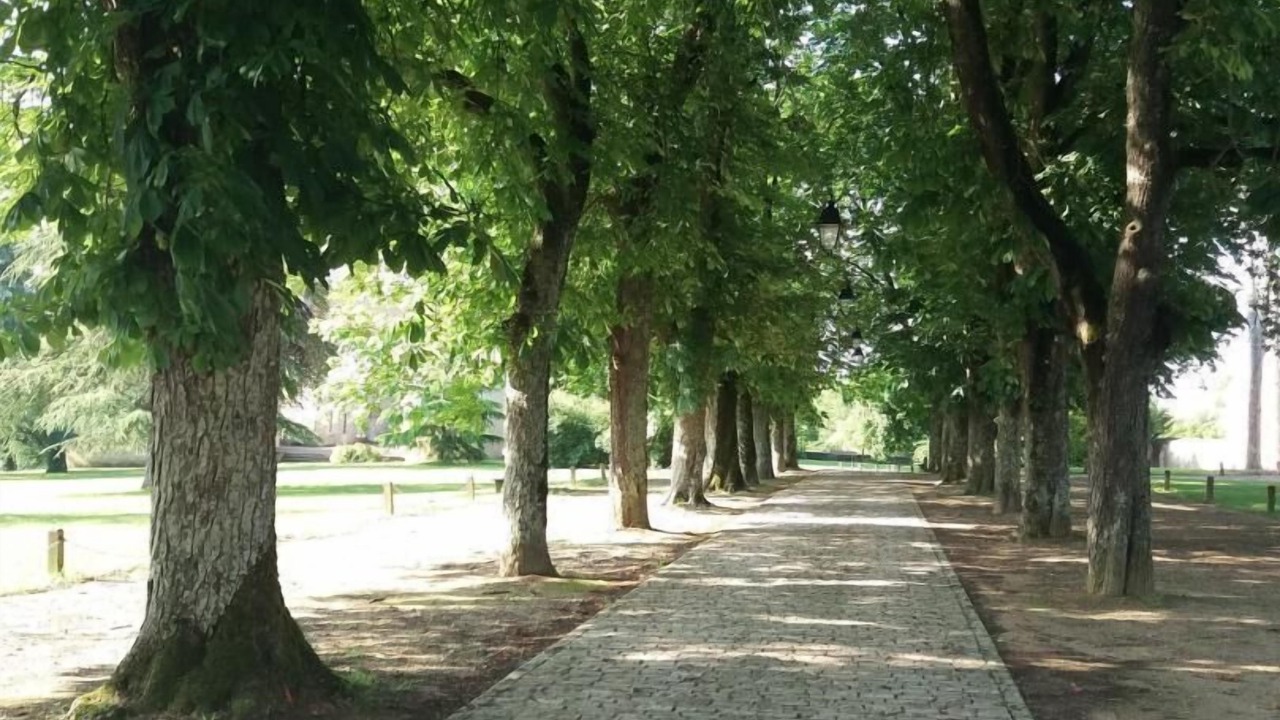 Photo of Others in Ayron