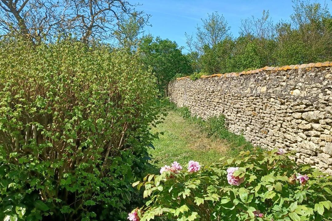 Photo of Outdoor in Cherves