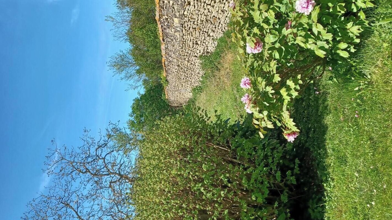 Photo of Others in Cherves