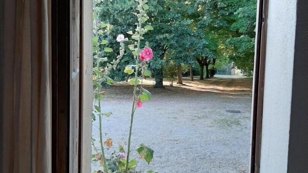 Photo of Others in Cherves