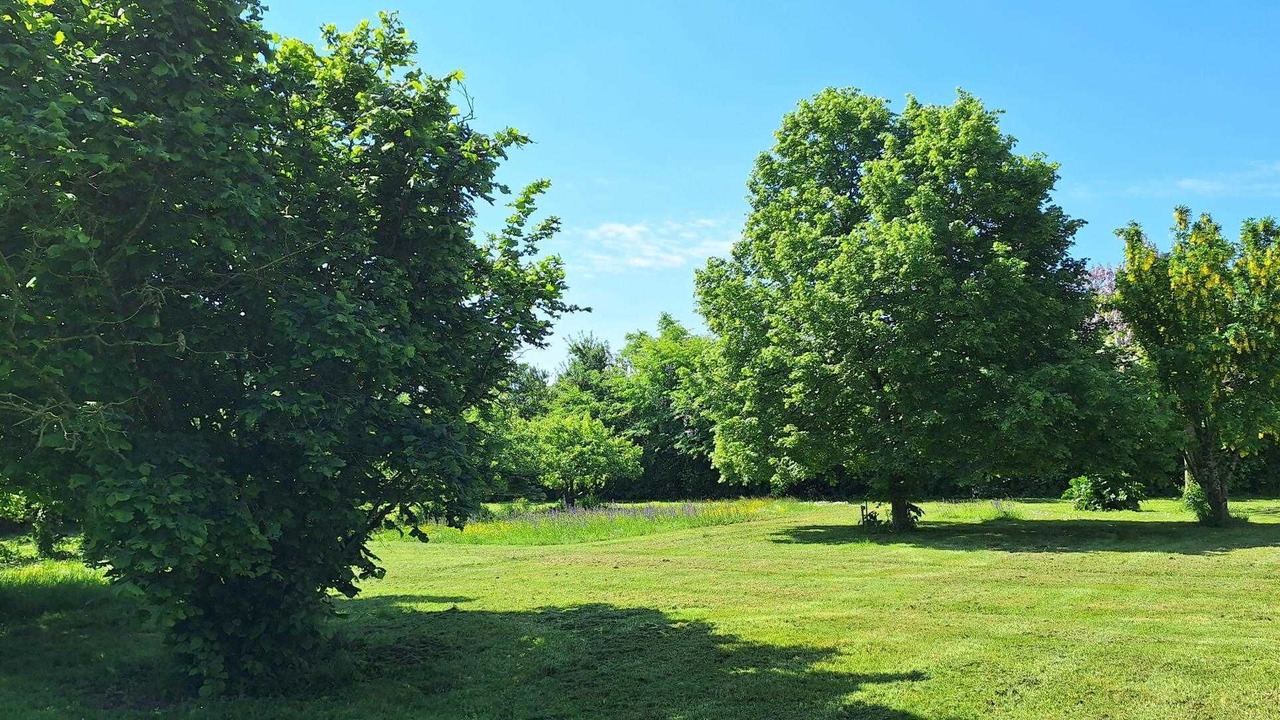 Photo of Others in Massognes