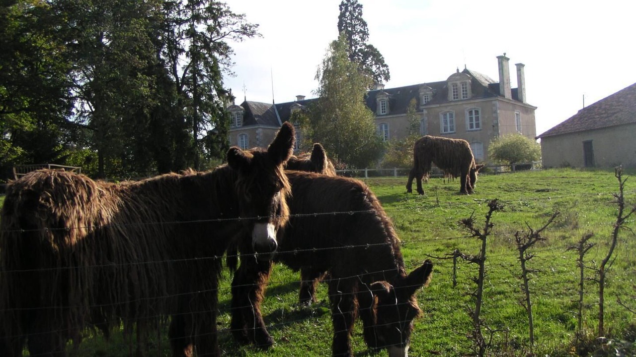 Photo of Outdoor in Chapelle-Viviers