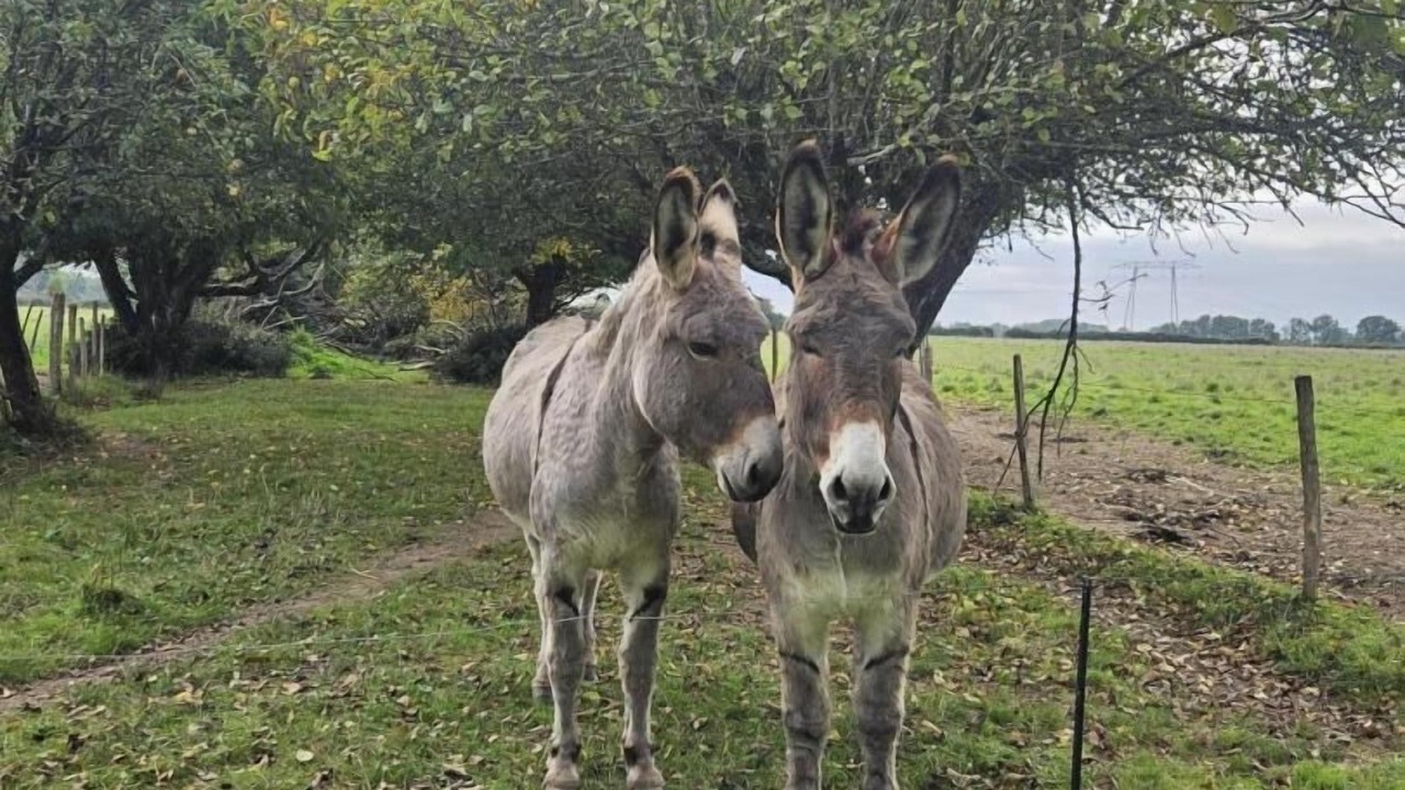 Photo of Others in Chapelle-Viviers