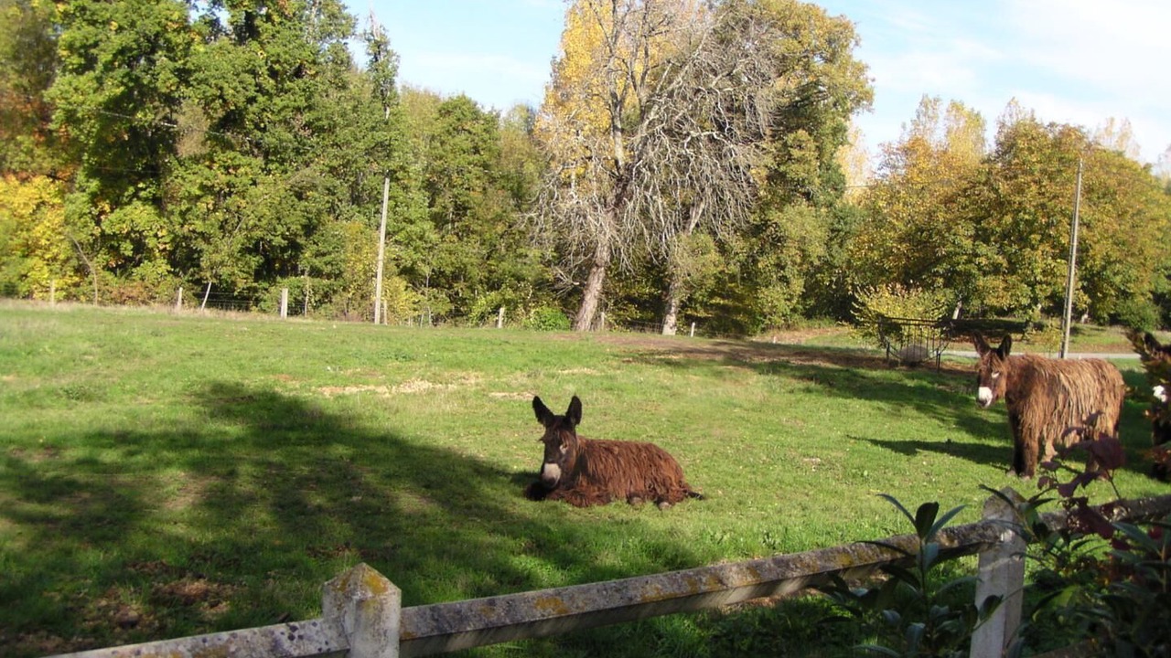 Photo of Outdoor in Chapelle-Viviers
