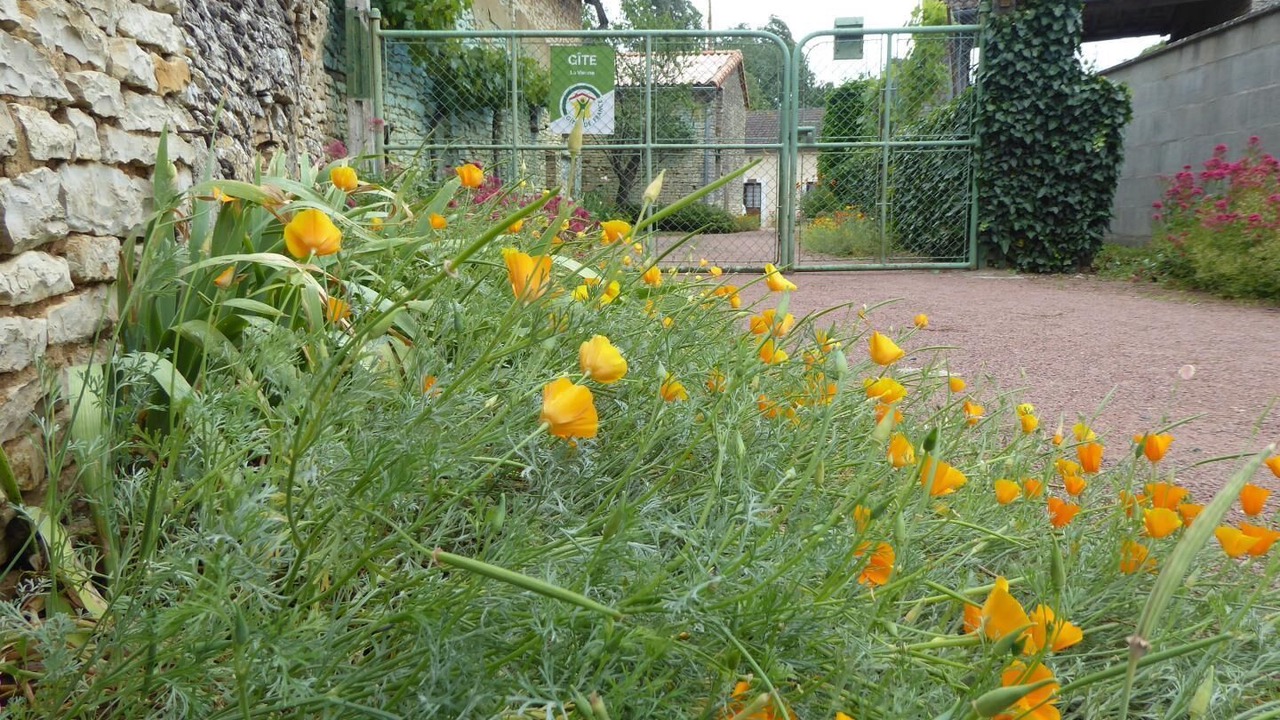 Photo of Outdoor in Martaize