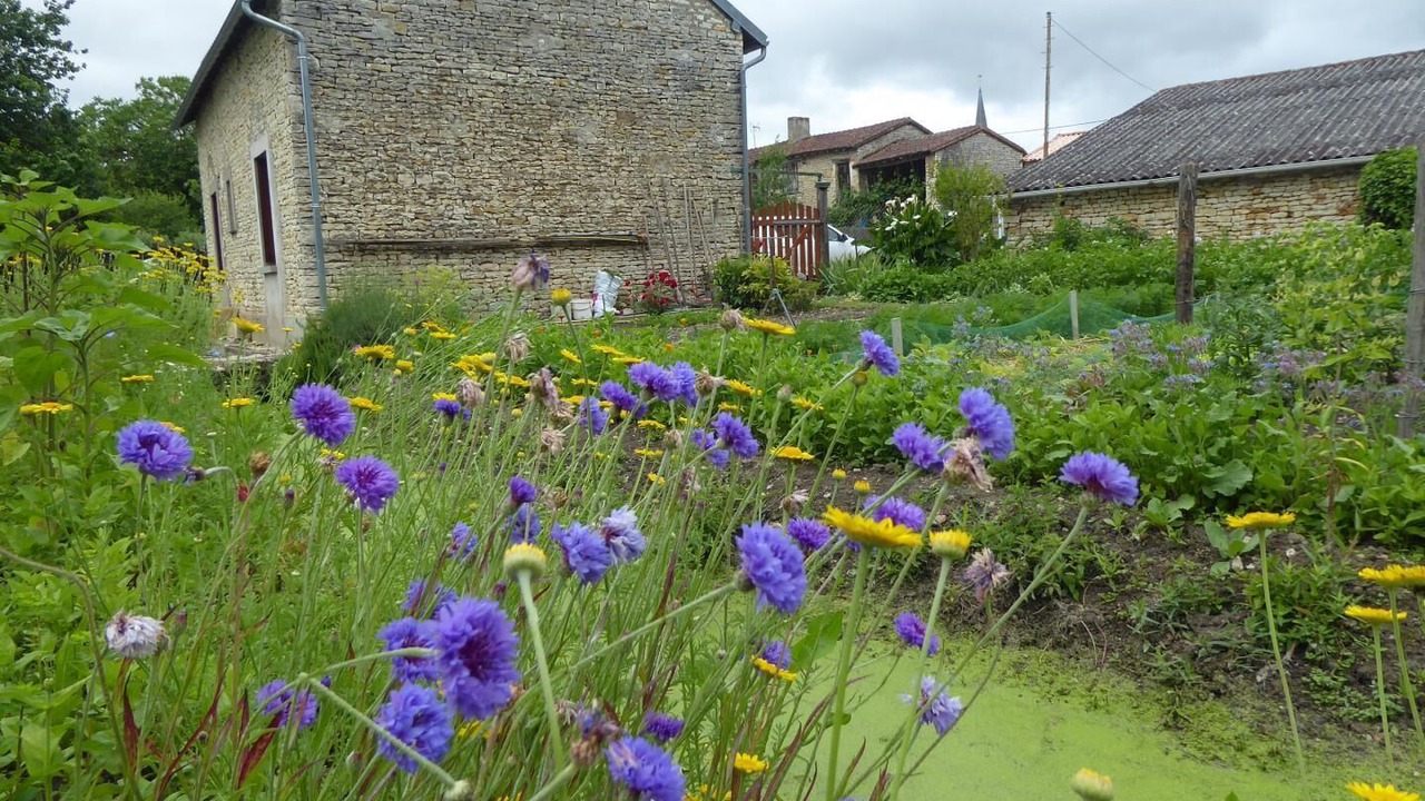 Photo of Outdoor in Martaize
