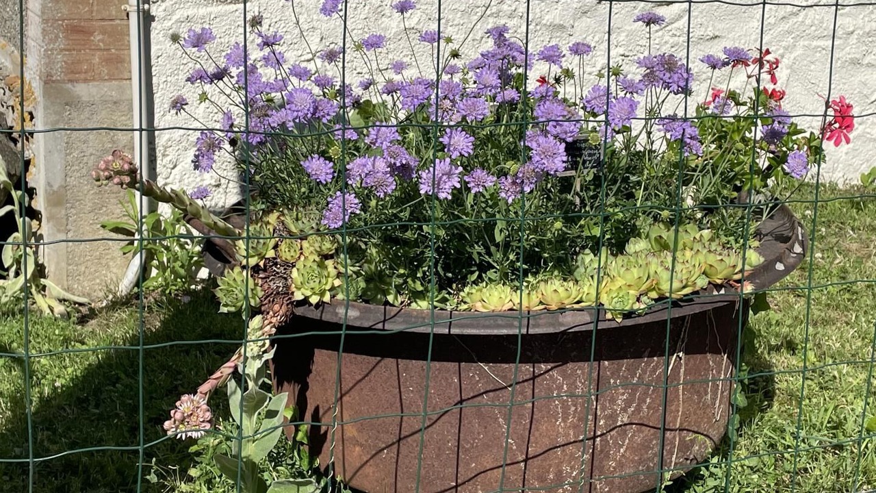 Photo of Outdoor in Asnois