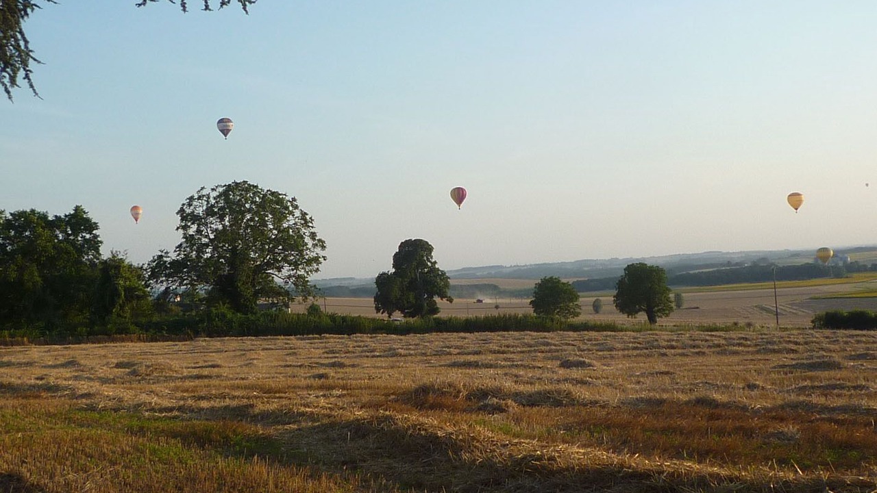 Photo of Others in Orches