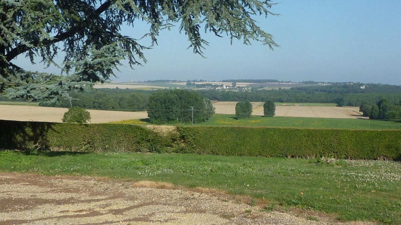 Photo of Outdoor in Orches