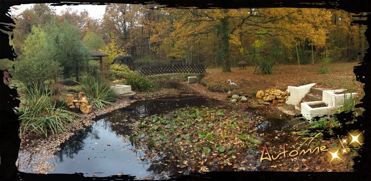 Photo of Outdoor in Mignaloux-Beauvoir
