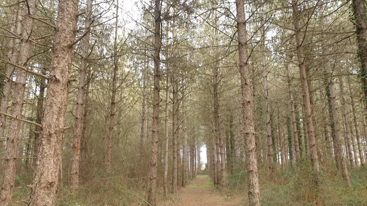 Photo of Outdoor in Chauvigny