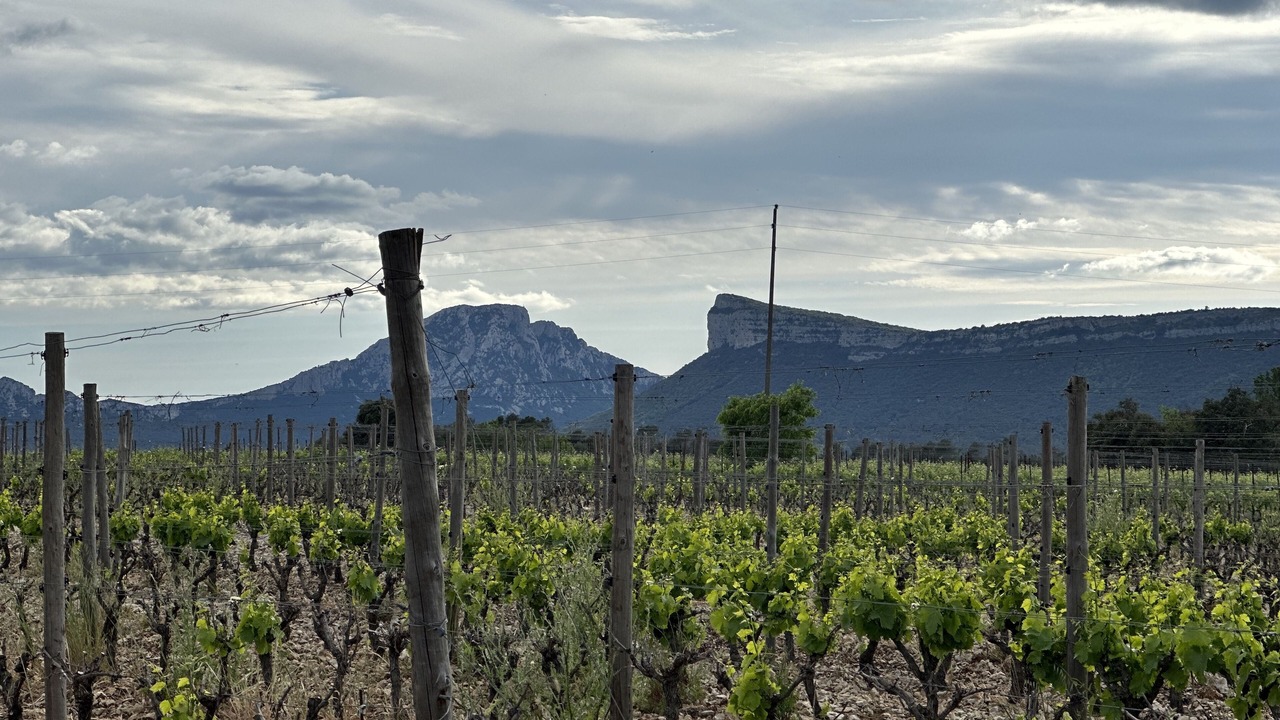 Photo of Outdoor in Valflaunes