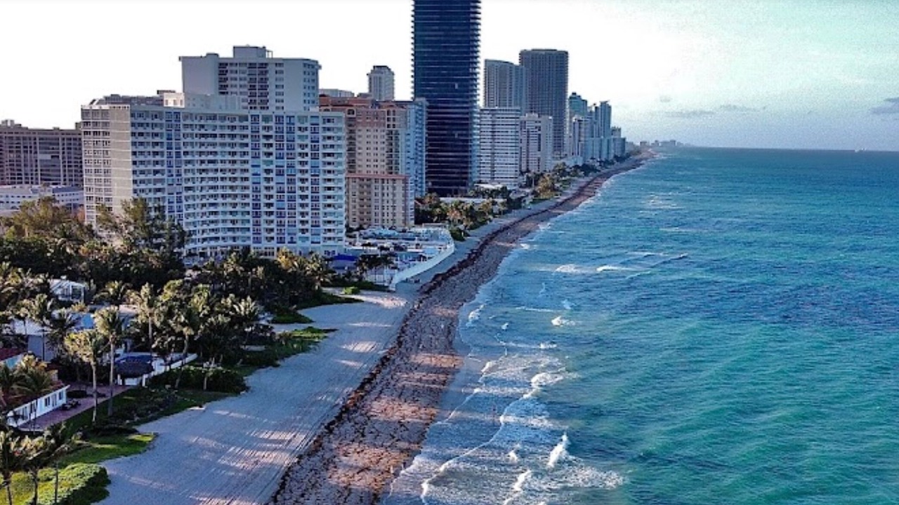 Photo of Others in Hallandale Beach