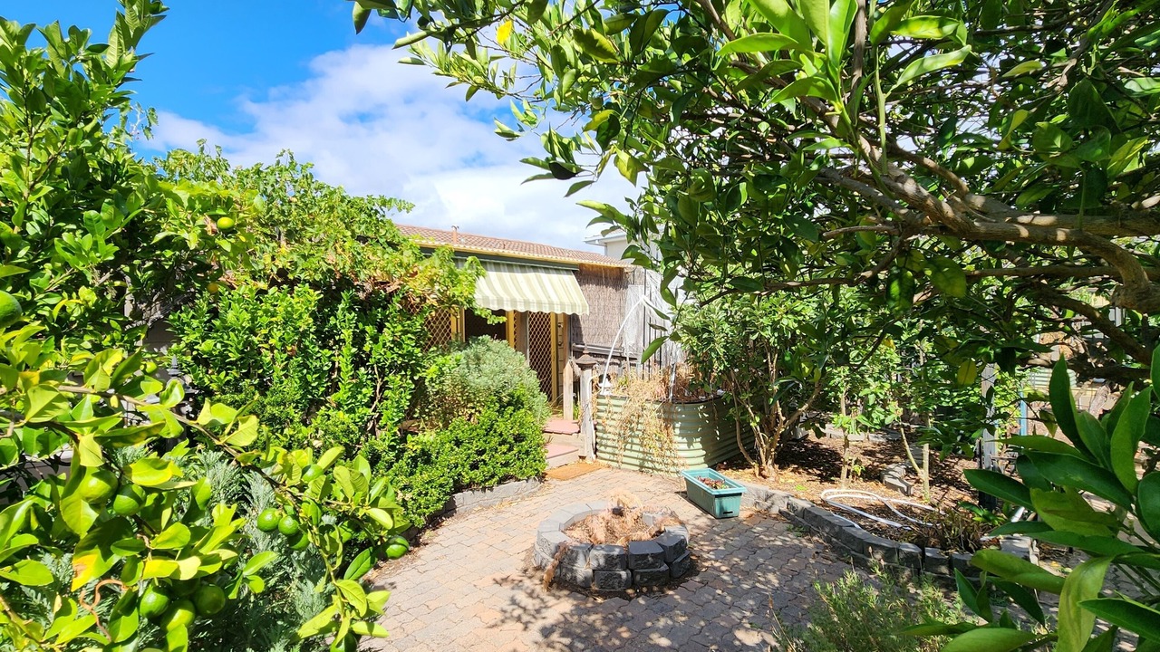 Photo of Outdoor in Modbury