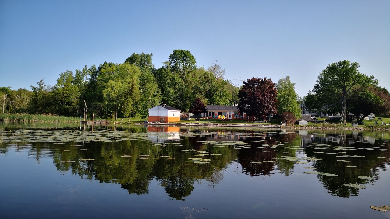 Photo of Others in Omemee