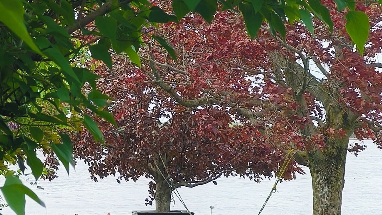 Photo of Others in Omemee