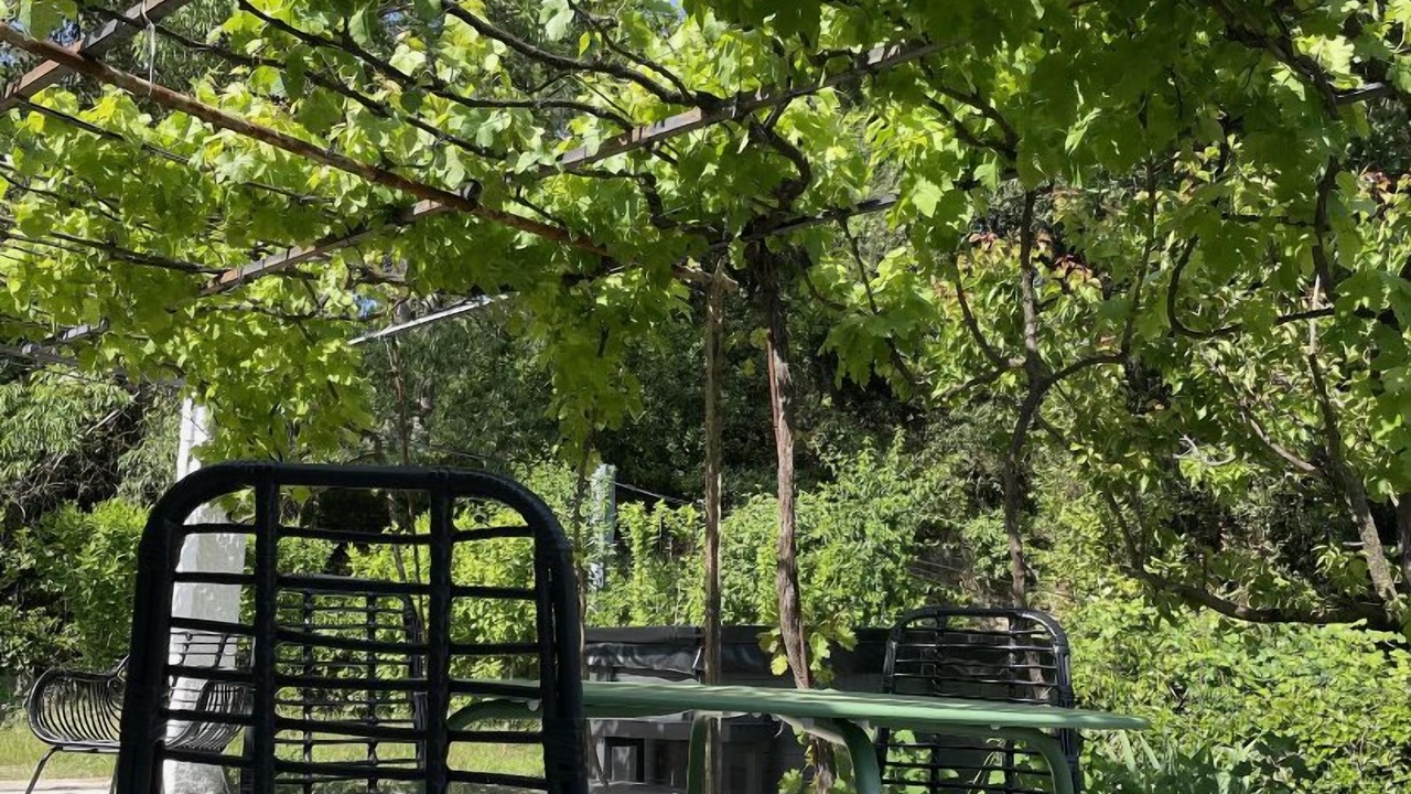 Photo of Outdoor in Ales