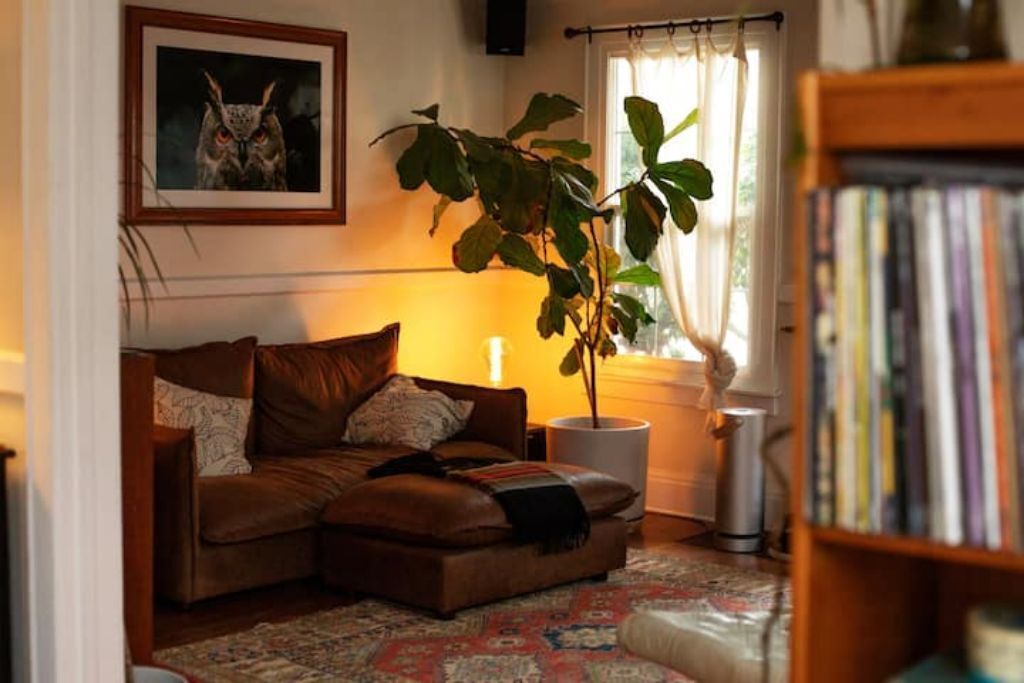 Photo of Others in Concordia