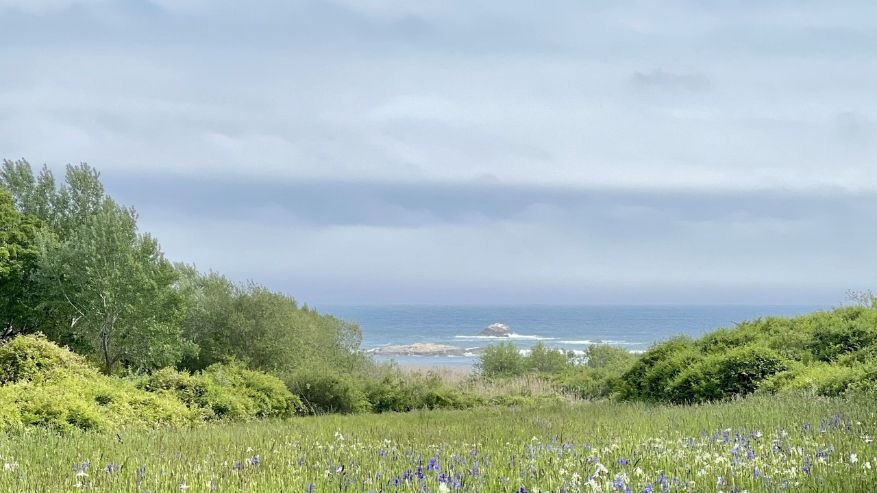 Photo of Outdoor in Narragansett