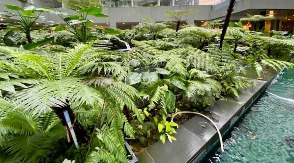 Photo of Outdoor in Kuala Lumpur City Centre