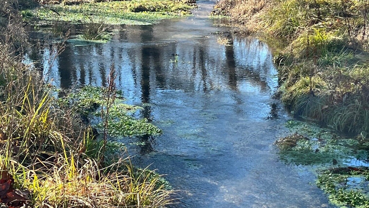 Photo of Outdoor in Proctor