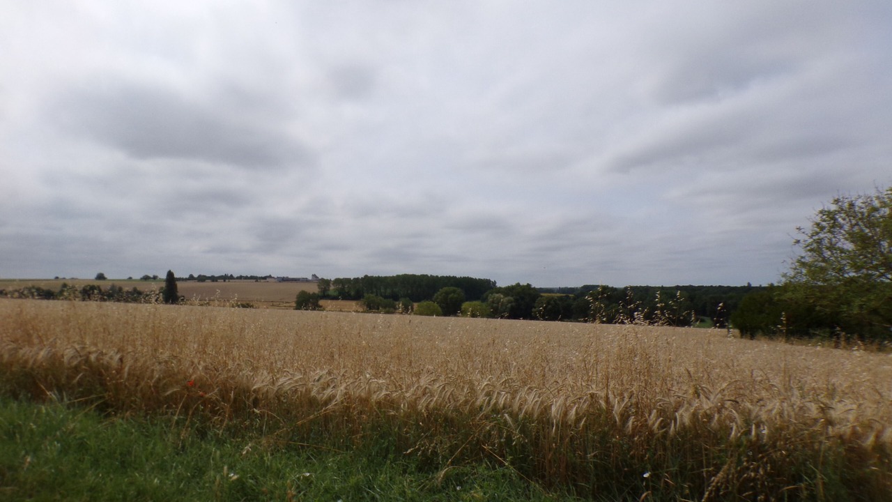 Photo of Others in La Roche-Clermault
