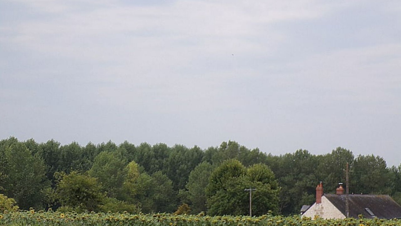 Photo of Outdoor in La Roche-Clermault
