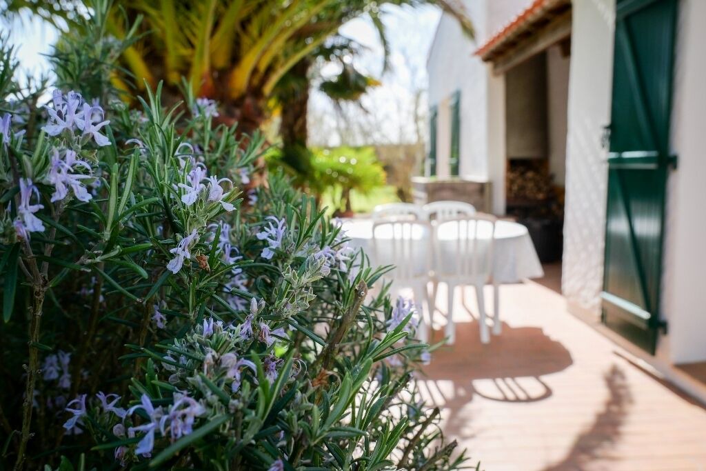 Photo of Outdoor in Le Perrier