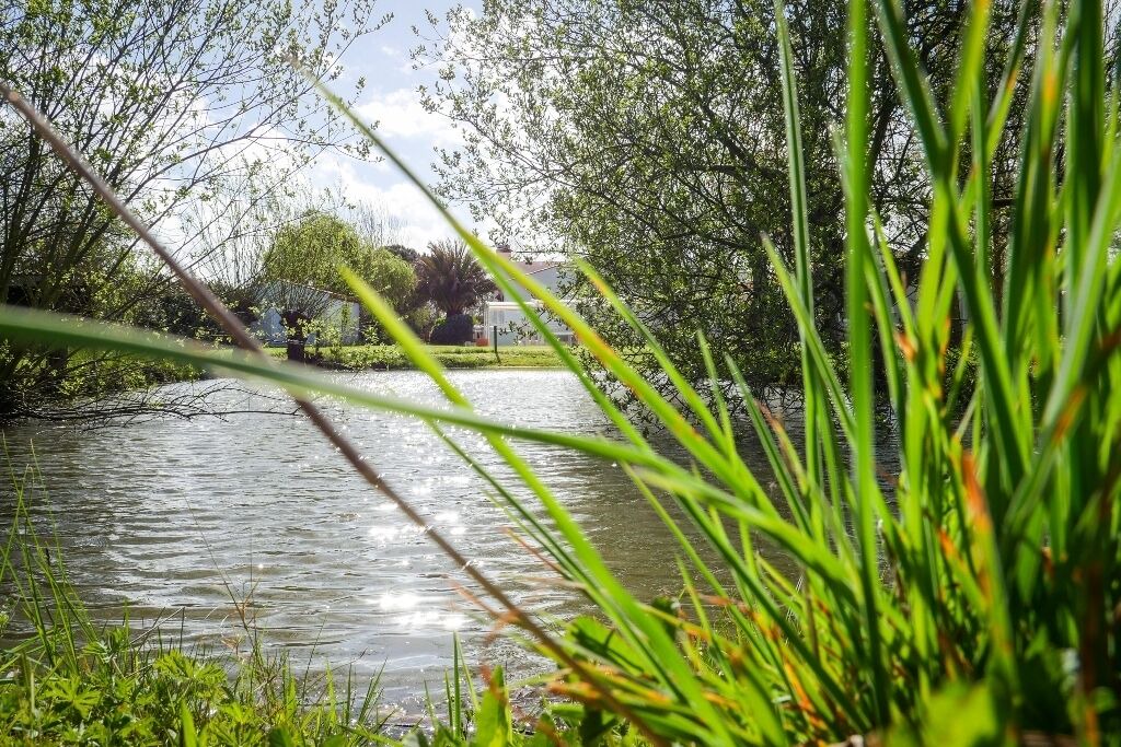 Photo of Outdoor in Le Perrier