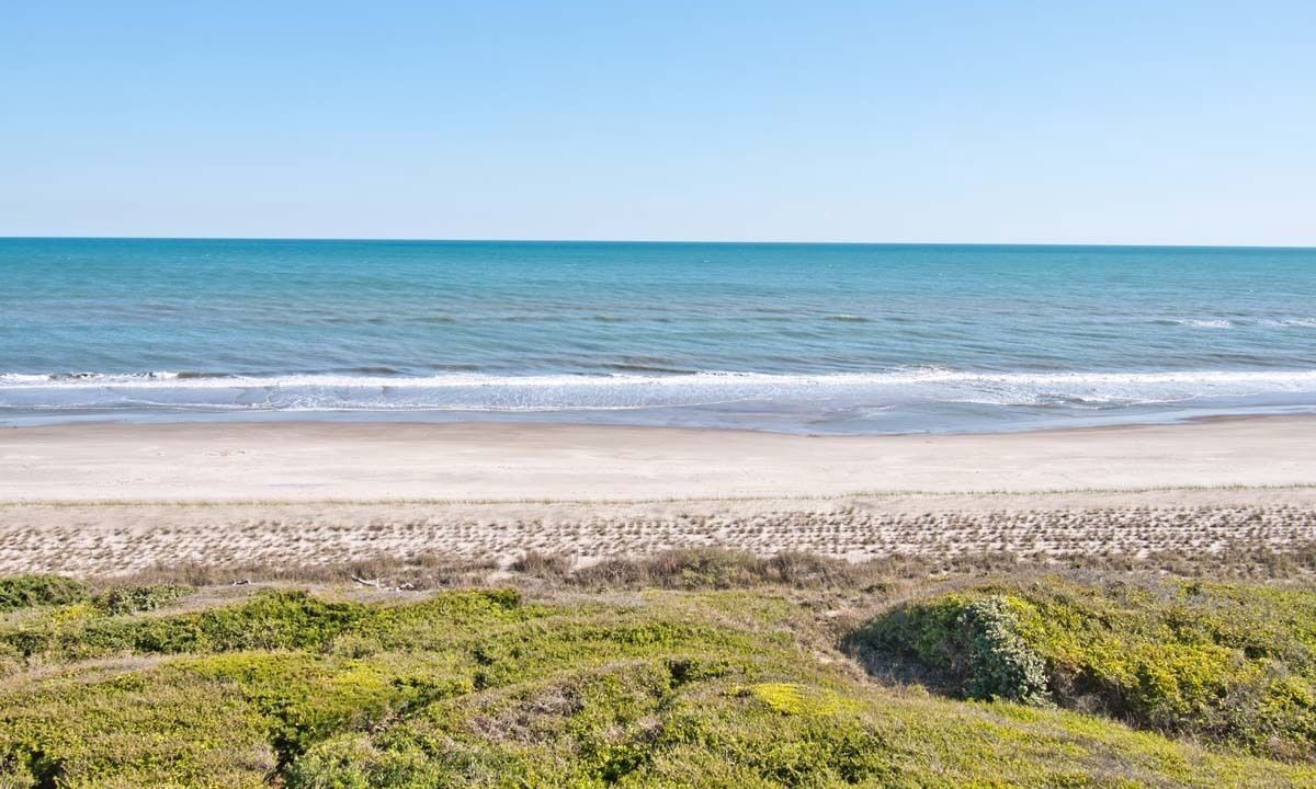 Photo of Others in Indian Beach