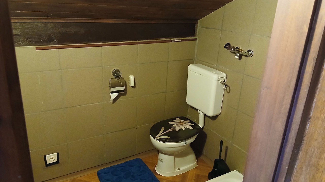 Photo of Bathroom in Gordola