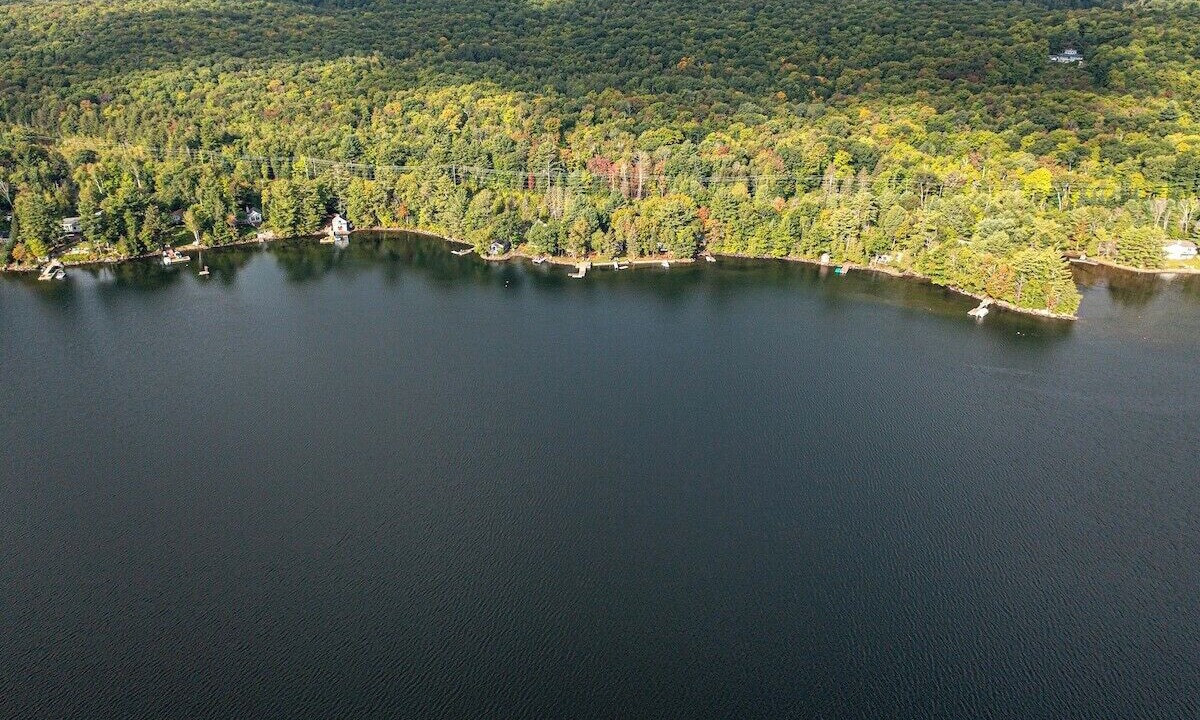 Photo of Outdoor in Algonquin Highlands