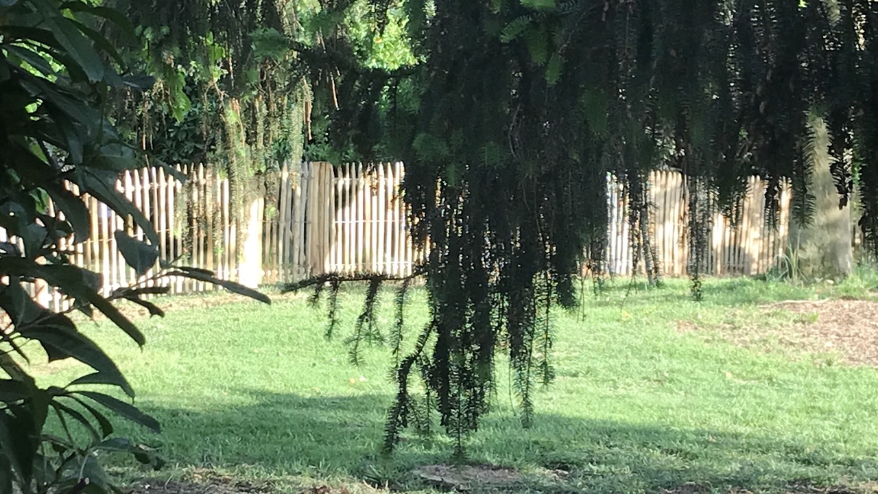 Photo of Outdoor in Castelvieilh