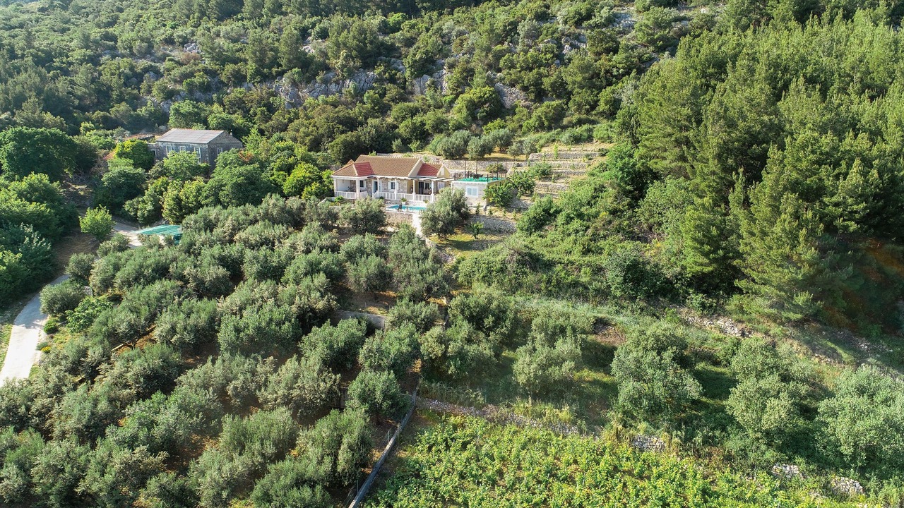 Photo of Outdoor in Orebic