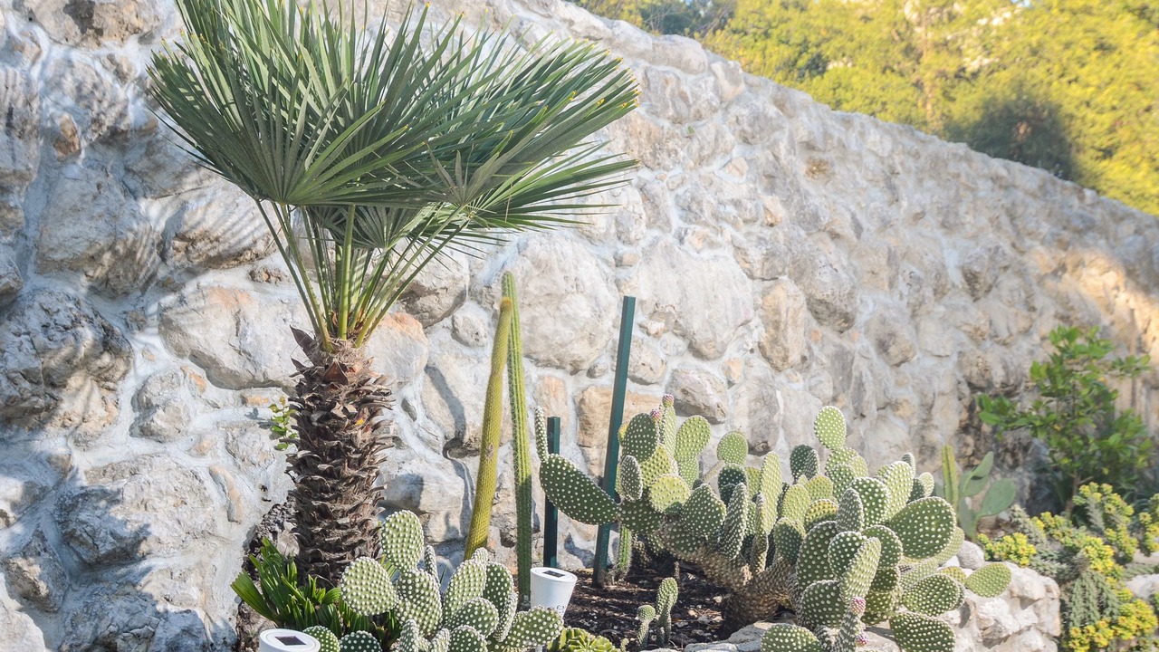 Photo of Outdoor in Orebic