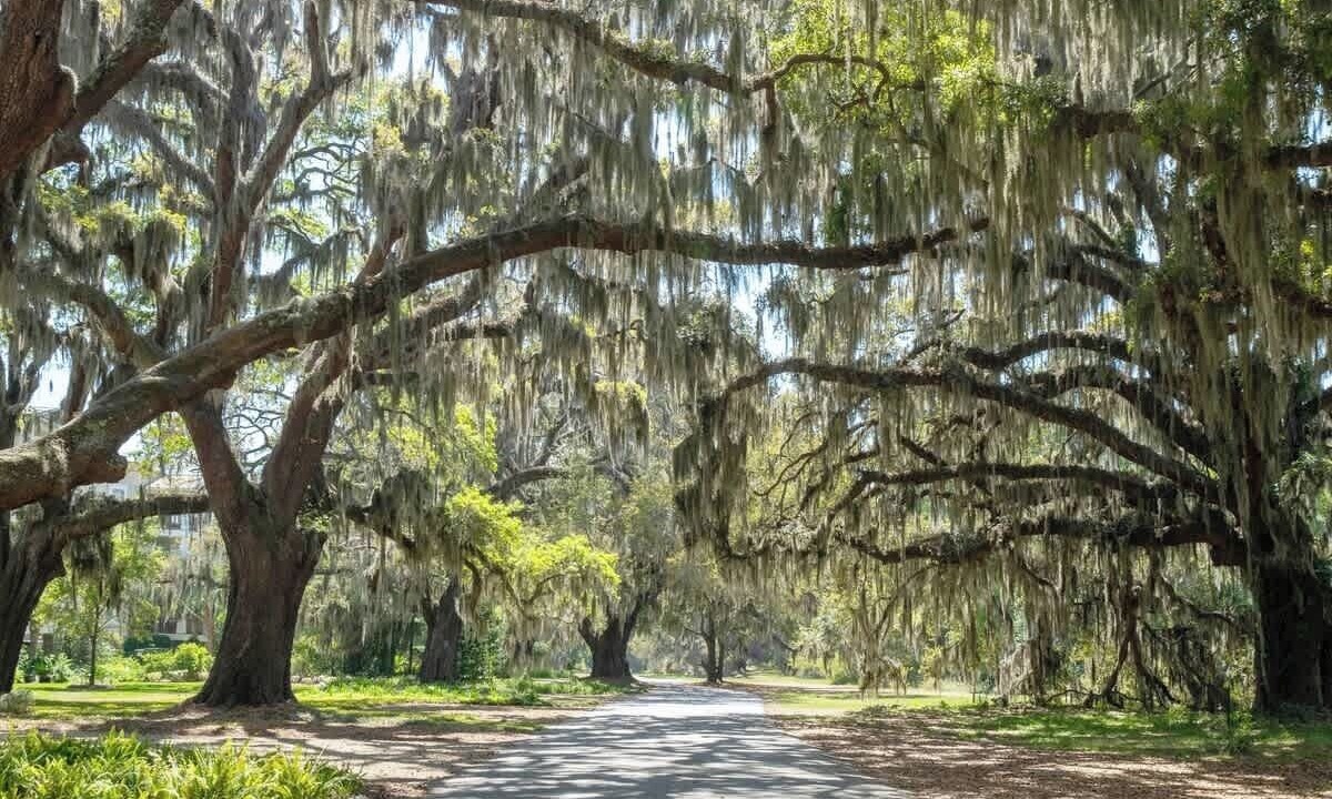 Photo of Others in Country Club Estates