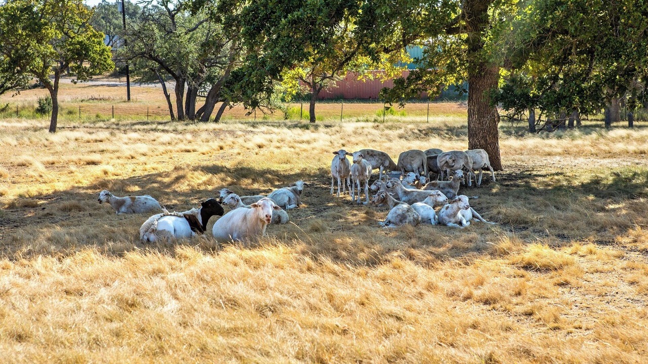 Photo of Outdoor in Fredericksburg