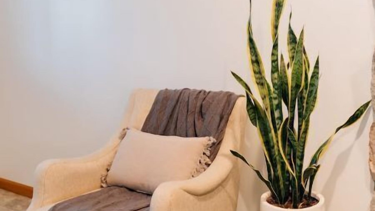 Photo of Others in Nappanee