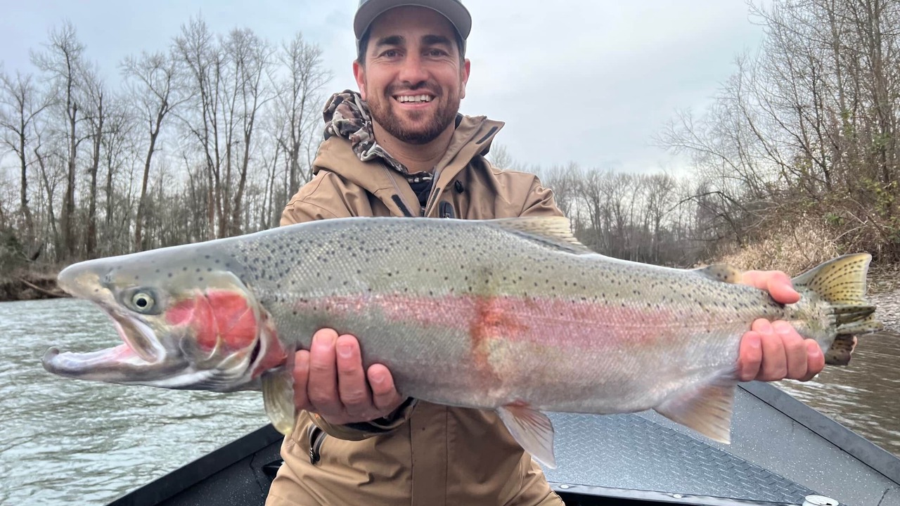 Photo of Others in Winchester