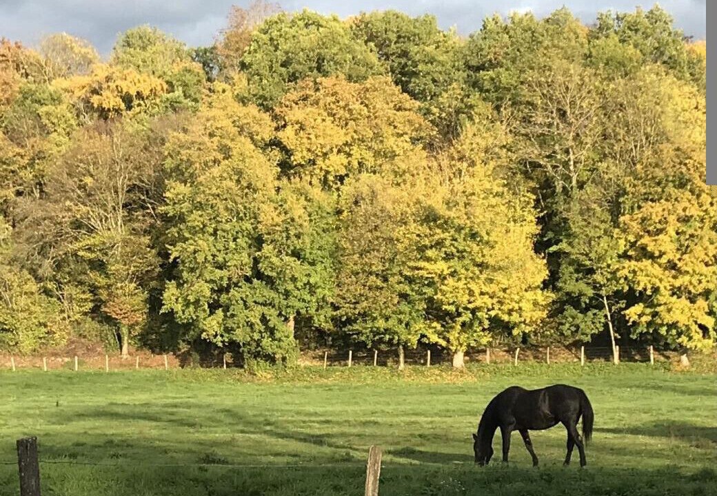 Photo of Others in Jully-sur-Sarce