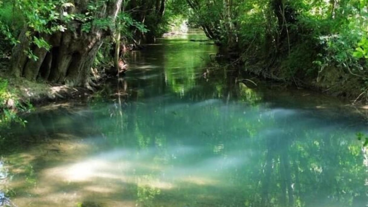 Photo of Others in Jully-sur-Sarce